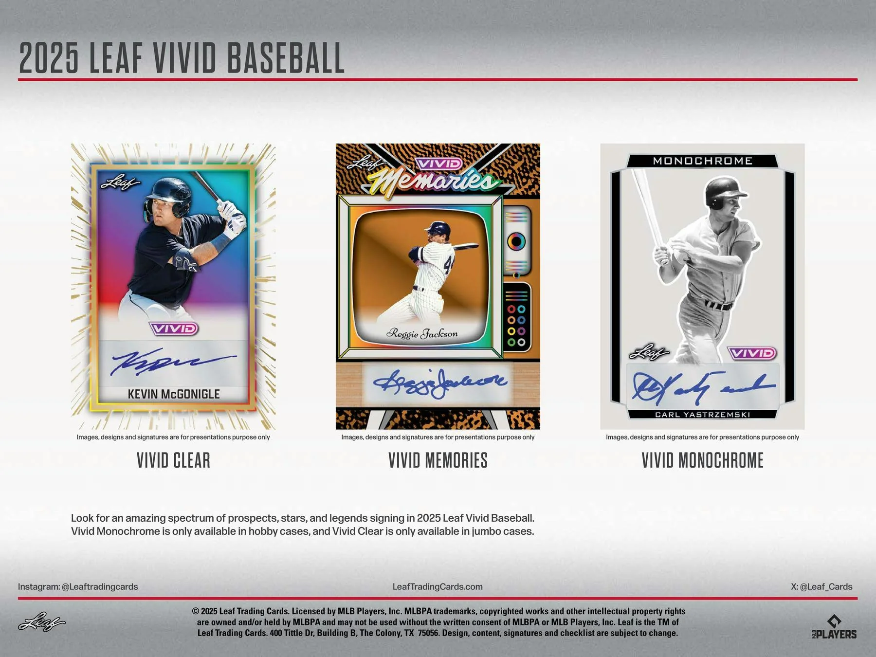 2025 Leaf Vivid Baseball Hobby Jumbo Box | Columbia Sports Cards - Image 5